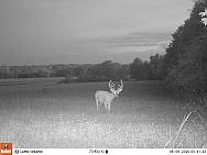 08090991