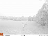 08010066