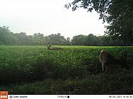 08040035