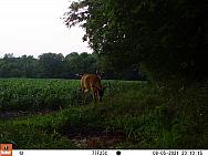 08050339