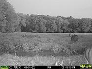 08080091