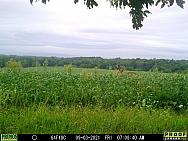 09030935