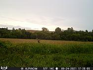 09240788
