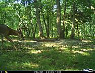 I 00090