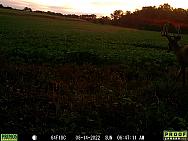 08140625