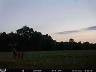 08280873
