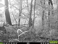 08290308 - Copy
