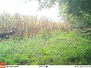 09050345 - Copy