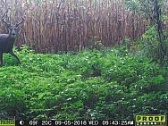 09050568
