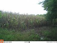 09060277