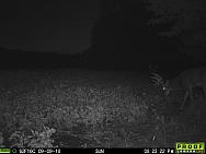 09090043