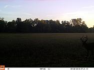 09240021