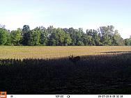 09270187