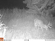 09290649