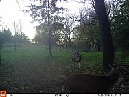 10210784