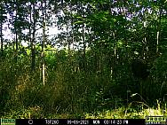 09060425