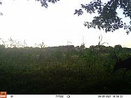 09250007