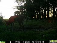 09280825
