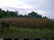 09290014