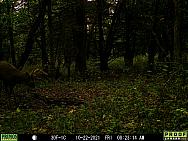 10220296