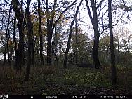 10300162