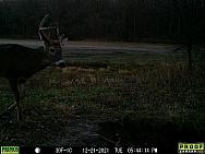 12210285
