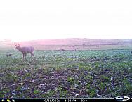 I 00014a