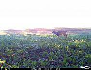 I 00078b