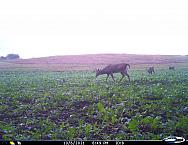 I 00110b