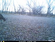 I 00495