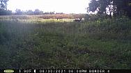 PICT0058