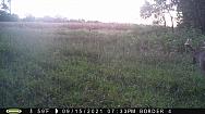 PICT0175