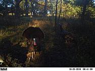 2016-10-22 PICT0751