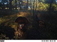 2016-10-22 PICT0752