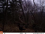 2016-12-11 12110291