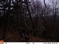 2016-12-11 12110293