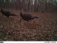 2017-01-12 PICT1352