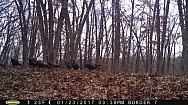 2017-01-23 PICT0437