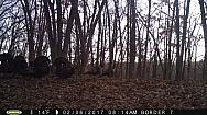 2017-02-06 PICT0505