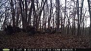 2017-02-06 PICT0506