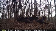 2017-02-06 PICT0507