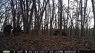2017-02-06 PICT0518