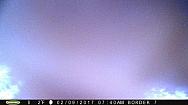 2017-02-09 PICT0527