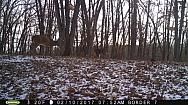 2017-02-10 PICT0531