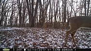 2017-02-10 PICT0533
