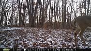 2017-02-10 PICT0534