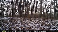 2017-02-10 PICT0535