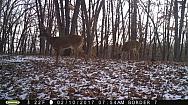2017-02-10 PICT0538