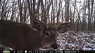2017-02-10 PICT0541