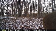 2017-02-10 PICT0542